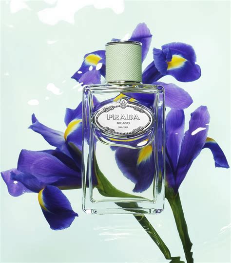 prada infusion d iris vs no 19 pudre|Testing lots of iris : r/fragrance .